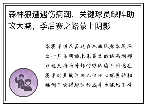 森林狼遭遇伤病潮，关键球员缺阵助攻大减，季后赛之路蒙上阴影